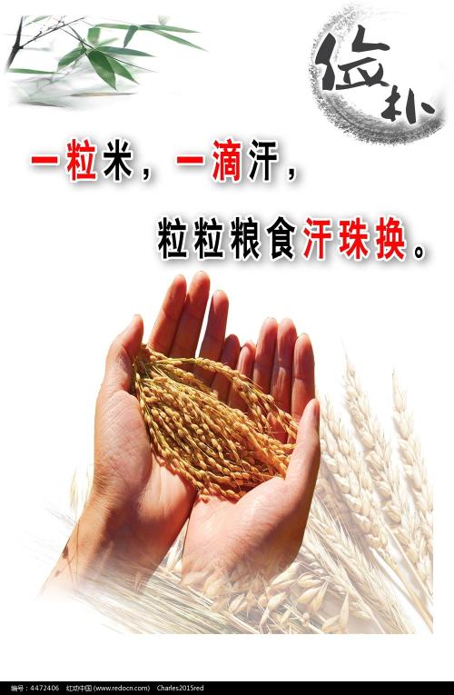 特鲁布朗商学院Scienceandtechnologydiploma